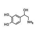 Norepinephrine chemical formula doodle icon, vector illustration