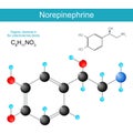 Norepinephrine molecule Royalty Free Stock Photo