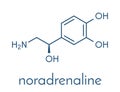 Norepinephrine noradrenaline, norepi hormone and neurotransmitter molecule. Skeletal formula.