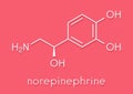 Norepinephrine noradrenaline, norepi hormone and neurotransmitter molecule. Skeletal formula.