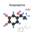 Norepinephrine. Structural chemical formula and model of molecule of noradrenalin.