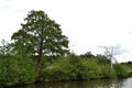 Norfolk Broads, Barton Broad windmill