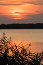 Norfolk broads. Soft orange sunset over water behind silhouetted leaves Royalty Free Stock Photo