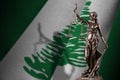 Norfolk island flag with statue of lady justice and judicial scales in dark room. Concept of judgement and punishment