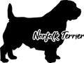 Norfolk Terrier silhouette real word Royalty Free Stock Photo