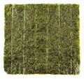 Nori edible seaweed sheet Royalty Free Stock Photo