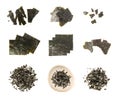 Nori Pieces Isolated, Dried Aonori Seaweed Flakes, Dry Sea Weed Torn Sheet, Seaweed Crumbles, Nori Pieces on White Royalty Free Stock Photo