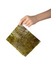 Nori Sheet in Hand , Dried Aonori Seaweed, Dry Sea Weed, Seaweed Sheets, Nori Seaweed Pieces on White