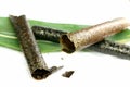 Nori sheets and roll. Royalty Free Stock Photo