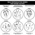 Normal and abnormal sperm