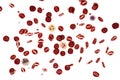 Normal blood smear Royalty Free Stock Photo