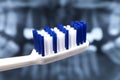 Normal blue-white toothbrush