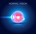 Normal eye vision blue background Royalty Free Stock Photo