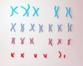 Normal human male karyotype Royalty Free Stock Photo