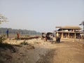 Normal life at chitwan Royalty Free Stock Photo