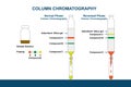 Normal Phase and Reversed-Phase Column Chromatography Royalty Free Stock Photo