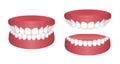 Normal teeth Vector illustration set