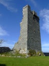 Norman castle ruins