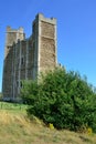 Norman Castle with tree