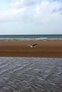 The Normandy Landing Beaches