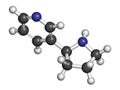 Nornicotine alkaloid molecule. Related to nicotine and also found in Nicotiana plants. 3D rendering. Atoms are represented as