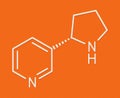 Nornicotine alkaloid molecule. Related to nicotine and also found in Nicotiana plants. Skeletal formula.