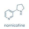 Nornicotine alkaloid molecule. Related to nicotine and also found in Nicotiana plants. Skeletal formula. Royalty Free Stock Photo