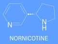 Nornicotine alkaloid molecule. Related to nicotine and also found in Nicotiana plants. Skeletal formula.