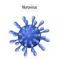 Norovirus. Virion on the white background