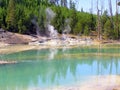 Norris Geyser Basin - Porcelain Basin (Crackling Lake)