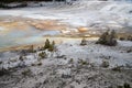 Norris Geyser Basin Royalty Free Stock Photo