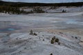 Norris Geyser Basin Royalty Free Stock Photo