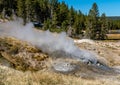 Black Growler Steam Vent of the Porcelain Basin Royalty Free Stock Photo