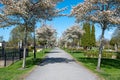 Spring in Norrkoping, Sweden Royalty Free Stock Photo