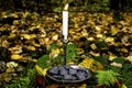 Norse runes in a forged bowl with a candle on the background of autumn forest foliage.