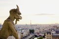 Norte dame gargoyle looking out over Paris at sunset Royalty Free Stock Photo