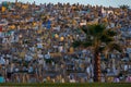 Morocco. Rabat. Piling up of graves in the Muslim Martyrs Cemetery near the Kasbah of the Udayas