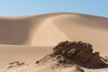 North African sand dunes Royalty Free Stock Photo