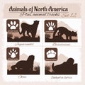 North America animals and animal tracks, footprints. Royalty Free Stock Photo
