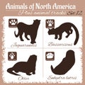 North America animals and animal tracks, footprints. Royalty Free Stock Photo