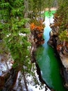 North America, Jasper National Park of Canada, Icefield Parkway Royalty Free Stock Photo