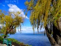 North America, Canada, British Columbia, Okanagan Lake