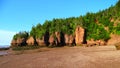 North America, Canada, Province of New Brunswick, Hopewell Rock Park, Fundy Biosphere Reserve