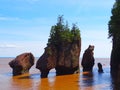 North America, Canada, Province of New Brunswick, Hopewell Rock Park, Fundy Biosphere Reserve