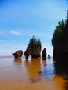 North America, Canada, Province of New Brunswick, Hopewell Rock Park, Fundy Biosphere Reserve