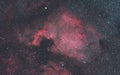 North America emission nebula in the constellation Cygnus Royalty Free Stock Photo