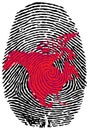 North America-fingerprint