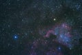 The North America Nebula in Cygnus Constellation, Brightest star Deneb Royalty Free Stock Photo