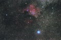 The North America Nebula in Cygnus Constellation, Brightest star Deneb Royalty Free Stock Photo