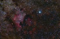 North America Nebula. Cygnus Constellation. Deneb. Telescope astrophotography Royalty Free Stock Photo